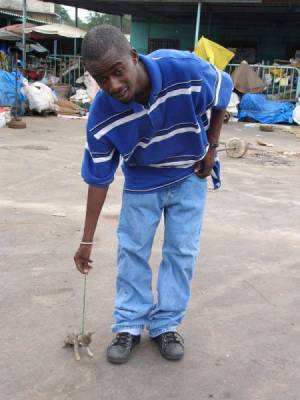 Qi est fou malade